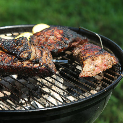 BP20 Wireless Meat Thermometer