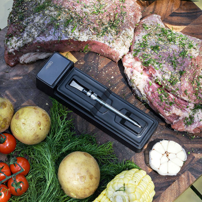 BP20 Wireless Meat Thermometer