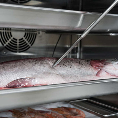 Frysta Blast Chiller BF300h2