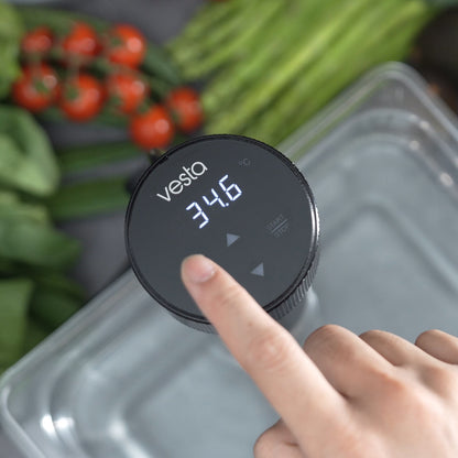 Sous Vide Cooker—Imersa SV80s